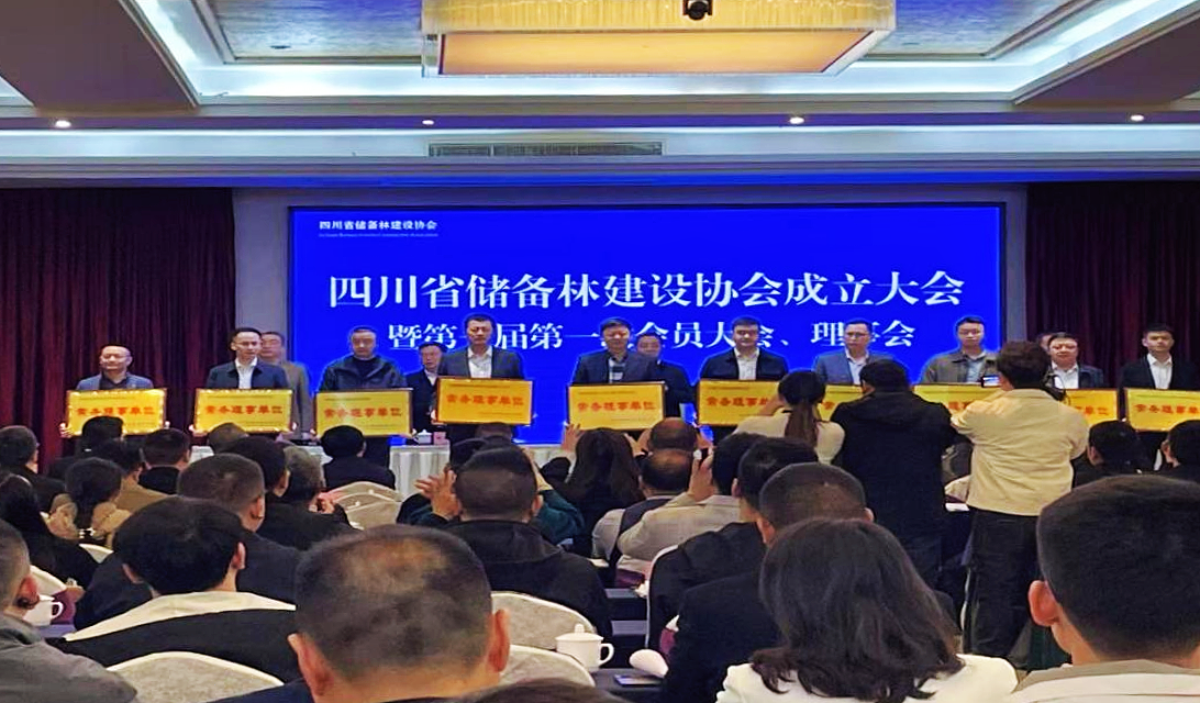 巴中兩山生態(tài)資源資產(chǎn)經(jīng)營有限公司榮獲四川省儲(chǔ)備林建設(shè)協(xié)會(huì)常務(wù)理事單位稱號